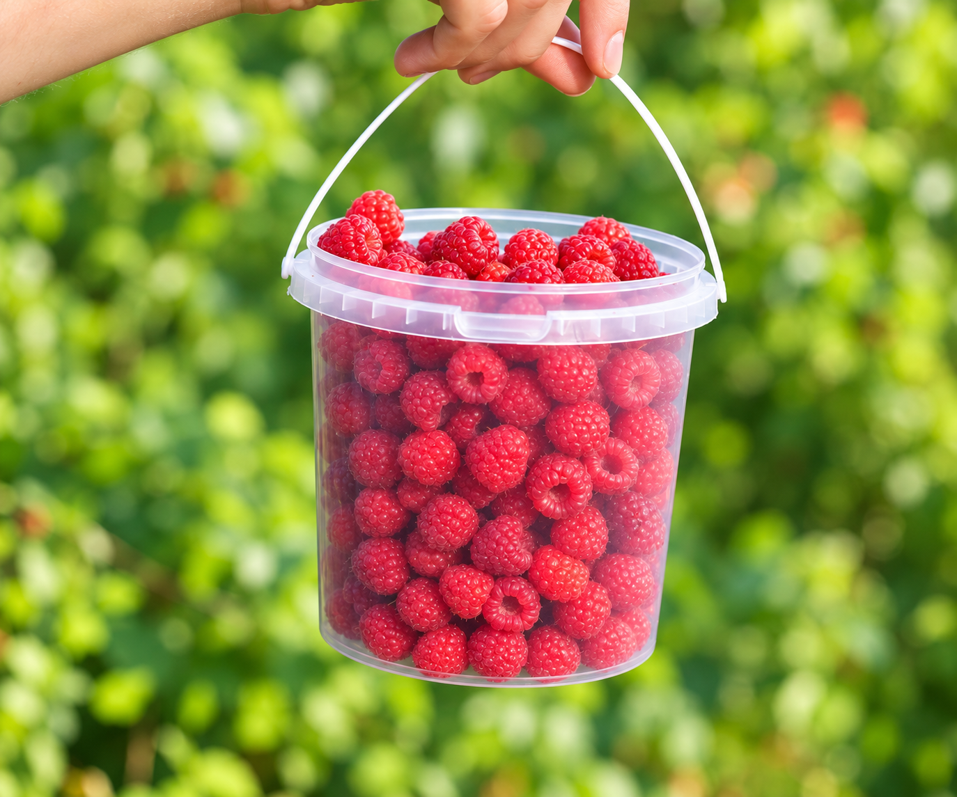 Пластиковая упаковка для продуктов